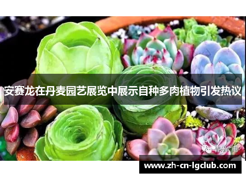 安赛龙在丹麦园艺展览中展示自种多肉植物引发热议 安赛龙在丹麦园艺展览中展示自种多肉植物引发热议