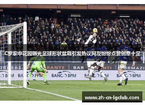 C罗家中花园曝光足球形状盆栽引发热议网友纷纷点赞创意十足 C罗家中花园曝光足球形状盆栽引发热议网友纷纷点赞创意十足