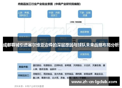 成都蓉城引进塞尔维亚边锋的深层原因与球队未来战略布局分析 成都蓉城引进塞尔维亚边锋的深层原因与球队未来战略布局分析
