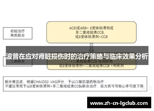 波普在应对肾脏损伤时的治疗策略与临床效果分析 波普在应对肾脏损伤时的治疗策略与临床效果分析