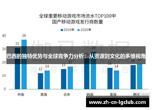 巴西的独特优势与全球竞争力分析：从资源到文化的多维视角