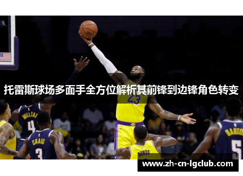 托雷斯球场多面手全方位解析其前锋到边锋角色转变 托雷斯球场多面手全方位解析其前锋到边锋角色转变