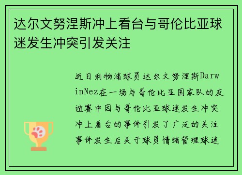 达尔文努涅斯冲上看台与哥伦比亚球迷发生冲突引发关注